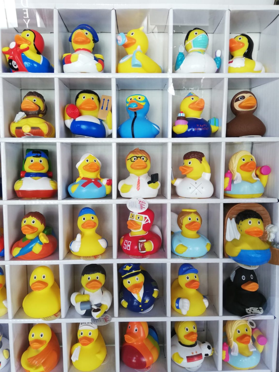 Meet Flower Power, the outgoing duckster that loves to go out